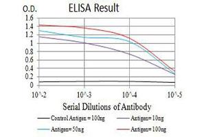 Black line: Control Antigen (100 ng),Purple line: Antigen (10 ng), Blue line: Antigen (50 ng), Red line:Antigen (100 ng) (CHRNB4 antibody  (AA 22-236))