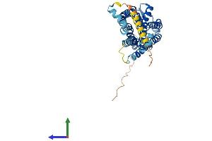 Protein Structure (PS) image for Pyrimidinergic Receptor P2Y, G-Protein Coupled, 4 (P2RY4) (AA 1-361) protein (His tag) (ABIN7561604)