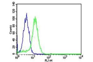 Flow cytometric analysis of Hela cells using USP11 Antibody (C-term )(green, Cat(ABIN1944797 and ABIN2838501)) compared to an isotype control of mouse IgG1(blue). (USP11 antibody  (N-Term))