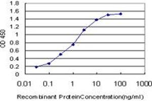 Detection limit for recombinant GST tagged E2F1 is approximately 0. (E2F1 antibody  (AA 348-437))