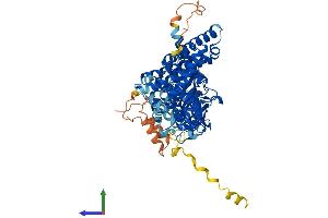 Protein Structure (PS) image for Acyl-CoA Oxidase-Like (ACOXL) (AA 1-632) protein (His tag) (ABIN7561298)