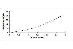 Typical standard curve (EPH Receptor A5 ELISA Kit)