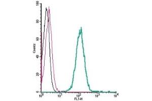 Cell surface detection of GPR183 by indirect flow cytometry in live intact human THP-1 monocytic leukemia cells: (black line) Cells. (GPR183 antibody  (Extracellular))