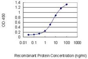Detection limit for recombinant GST tagged RFX5 is 0. (RFX5 antibody  (AA 516-616))