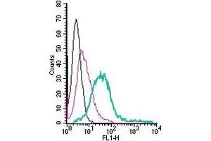 Cell surface detection of MERTK by direct flow cytometry in live intact human  megakaryoblastic leukemia cells: + Rabbit IgG Isotype Control-FITC (ABIN7582044).