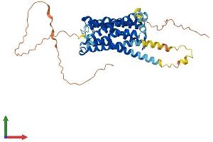 AlphaFold protein structure predicition of Human Recombinant GPR63 Protein, UniprotID Q9BZJ6