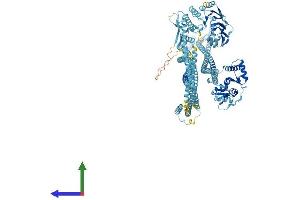 AlphaFold protein structure predicition of Human Recombinant SMC3 Protein, UniprotID Q9UQE7