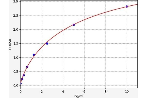 TYR ELISA Kit