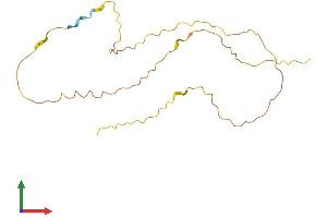 AlphaFold protein structure predicition of Human Recombinant C20orf203 Protein, UniprotID Q8NBC4 (C20orf203 Protein (AA 1-194) (His tag))