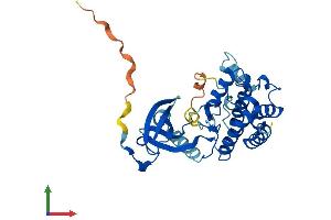 AlphaFold protein structure predicition of Human Recombinant NEK7 Protein, UniprotID Q8TDX7