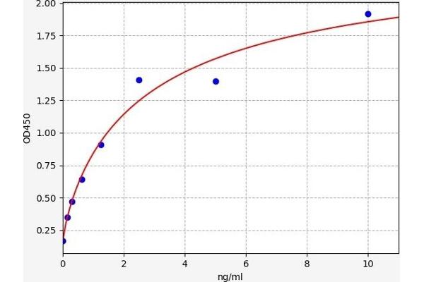 CD55 ELISA Kit