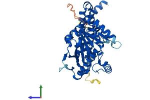 AlphaFold protein structure predicition of Mouse Recombinant Lpgat1 Protein, UniprotID Q91YX5 (LPGAT1 Protein (AA 1-370) (His tag))