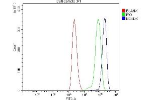 Flow Cytometry analysis of THP-1 cells using anti-BCKDK antibody (ABIN7601470).