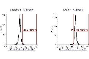 Flow Cytometry (FACS) image for anti-Fumarate Hydratase (FH) (AA 44-510) antibody (APC) (ABIN5568704) (FH antibody  (AA 44-510) (APC))