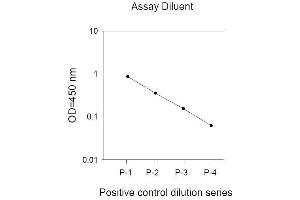 Image no. 1 for Mitogen-Activated Protein Kinase 14 (MAPK14) ELISA Kit (ABIN625242) (MAPK14 ELISA Kit)