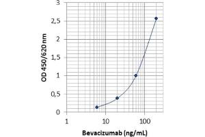 Image no. 1 for Bevacizumab Specific ELISA Kit (ABIN5012826) (Bevacizumab Specific ELISA Kit)