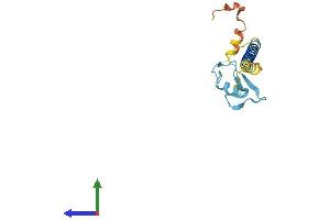 Protein Structure (PS) image for Ring Finger Protein 24 (RNF24) (AA 1-148) protein (His tag) (ABIN7551530)