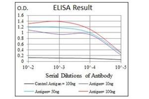 ELISA image for anti-Hexosaminidase A (HEXA) antibody (ABIN1105521)