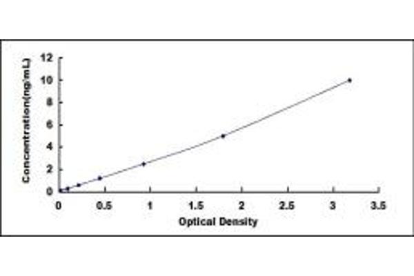 PLA2G4D ELISA Kit