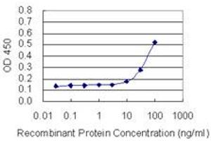 Detection limit for recombinant GST tagged ARHGEF9 is 3 ng/ml as a capture antibody. (Arhgef9 antibody  (AA 419-516))