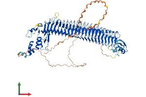 AlphaFold protein structure predicition of Mouse Recombinant Fbxo11 Protein, UniprotID Q7TPD1 (FBXO11 Protein (AA 1-930) (His tag))