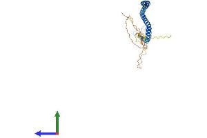 AlphaFold protein structure predicition of Mouse Recombinant Nsl1 Protein, UniprotID Q8K305 (NSL1 Protein (AA 1-281) (His tag))