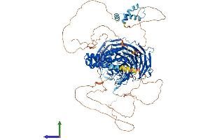 AlphaFold protein structure predicition of Human Recombinant WDHD1 Protein, UniprotID O75717 (WDHD1 Protein (AA 1-1129) (His tag))