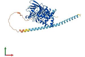 AlphaFold protein structure predicition of Human Recombinant PTPN2 Protein, UniprotID P17706