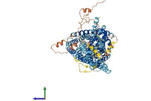 AlphaFold protein structure predicition of Mouse Recombinant Clcn6 Protein, UniprotID O35454