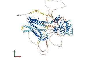 AlphaFold protein structure predicition of Human Recombinant HCN2 Protein, UniprotID Q9UL51 (HCN2 Protein (AA 1-889) (His tag))