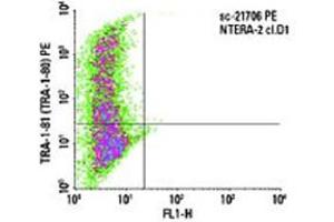 Indirect FCM analysis of NTERA-2 cl.