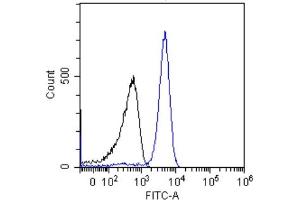 Flow-cytometry using the anti-p53 antibody (ABIN5668085) Jurkat cells were stained with unimmunized rabbit IgG antibody (black line) at a concentration of 10 µg/ml for 30 mins at RT. (Recombinant p53 antibody  (AA 371-380))