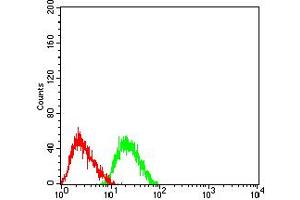 Flow Cytometry (FACS) image for anti-Lysosomal-Associated Membrane Protein 2 (LAMP2) (AA 29-168) antibody (ABIN5611242)