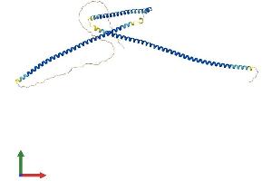 AlphaFold protein structure predicition of Human Recombinant MIPOL1 Protein, UniprotID Q8TD10