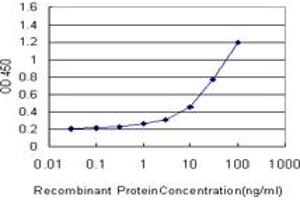 Detection limit for recombinant GST tagged TYK2 is approximately 1ng/ml as a capture antibody. (TYK2 antibody  (AA 276-375))