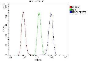 Flow Cytometry analysis of Raji cells using anti-Integrin beta 4/ITGB4 antibody (ABIN7601135).