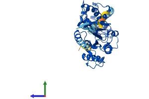 AlphaFold protein structure predicition of Human Recombinant GNA11 Protein, UniprotID P29992