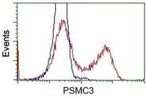 HEK293T cells transfected with either RC201790 overexpress plasmid (Red) or empty vector control plasmid (Blue) were immunostained by anti-PSMC3 antibody (ABIN2453538), and then analyzed by flow cytometry. (PSMC3 antibody)