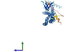 AlphaFold protein structure predicition of Mouse Recombinant Sh3gl2 Protein, UniprotID Q62420 (SH3G2 Protein (AA 1-352) (His tag))