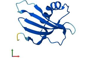 AlphaFold protein structure predicition of Human Recombinant CSTA Protein, UniprotID P01040 (CSTA Protein (AA 1-98) (His tag))