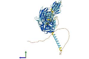 AlphaFold protein structure predicition of Human Recombinant ST14 Protein, UniprotID Q9Y5Y6 (ST14 Protein (AA 1-855) (His tag))