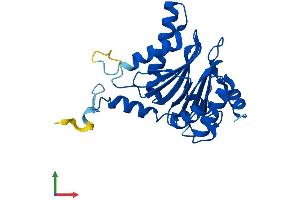 AlphaFold protein structure predicition of Human Recombinant PSMA5 Protein, UniprotID P28066