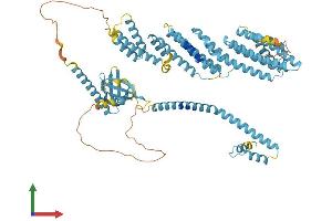 Protein Structure (PS) image for Exocyst Complex Component 8 (EXO84) (AA 1-716) protein (His tag) (ABIN7558078)