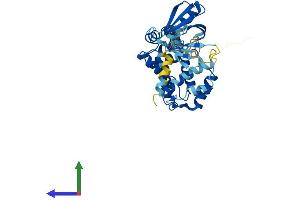 AlphaFold protein structure predicition of Human Recombinant CYTH4 Protein, UniprotID Q9UIA0 (Cytohesin 4 Protein (CYTH4) (AA 1-394) (His tag))