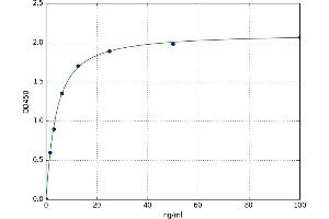 A typical standard curve