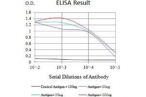 Black line: Control Antigen (100 ng),Purple line: Antigen (10 ng), Blue line: Antigen (50 ng), Red line:Antigen (100 ng) (CD96 antibody  (AA 321-519))