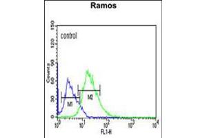 Flow cytometric analysis of Ramos cells (right histogram) compared to a negative control cell (left histogram).