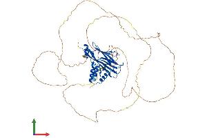 Protein Structure (PS) image for Protein AF-9 (MLLT3) (AA 1-569) protein (His tag) (ABIN7561937)