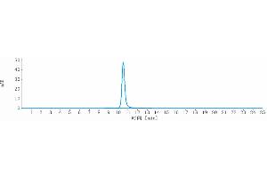 The purity of Anti-ERBB3 / HER3 Reference Antibody (seribantumab) is more than 95 % , determined by SEC-HPLC. (Recombinant ErbB3 (Seribantumab Biosimilar) antibody)