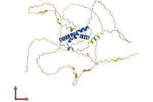 AlphaFold protein structure predicition of Mouse Recombinant Tcf7 Protein, UniprotID Q00417
